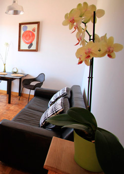 Gibralfaro 1 Terraza